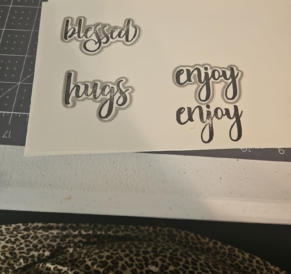 Clear Sentiment Stamp Set with Coordinating Die Cuts - Picture 3 of 4